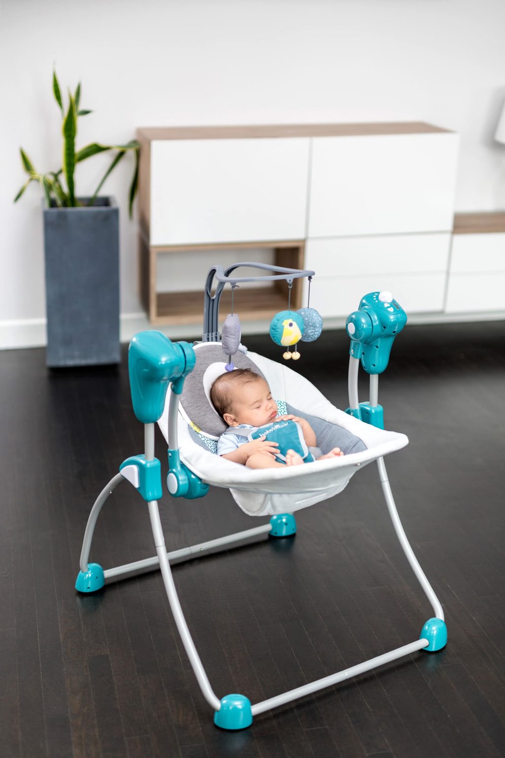 Babymoov Lovenest (+)